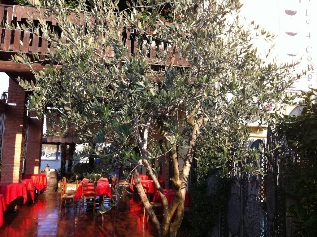 Manuela Le Quattro Coppe Hotel Desenzano del Garda Luaran gambar